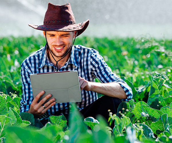Gestão de Agronegócios - Facunicamps