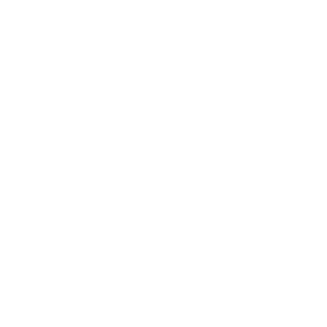 AlçaFoods — empresa parceira da Facunicamps