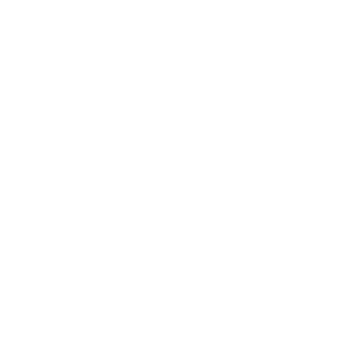 Maeve — empresa parceira da Facunicamps